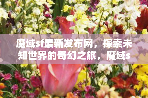 探索未知世界的奇幻之旅图片