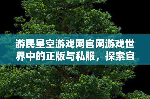 游民星空游戏网官网游戏世界中的正版与私服图片