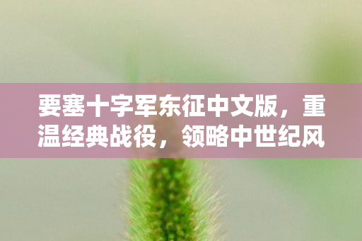 要塞十字军东征中文版图片