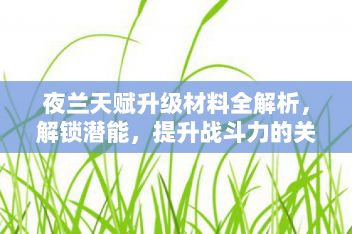 夜兰天赋升级材料全解析图片