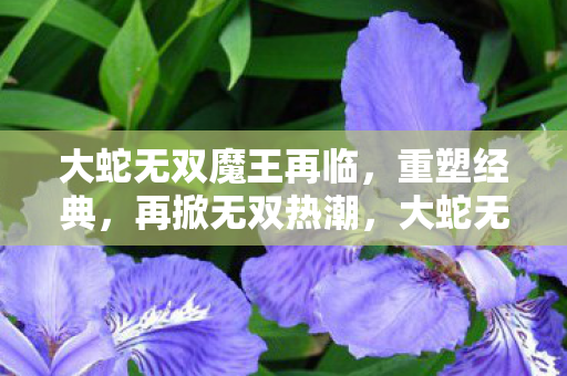 重塑经典掀起无双热潮图片