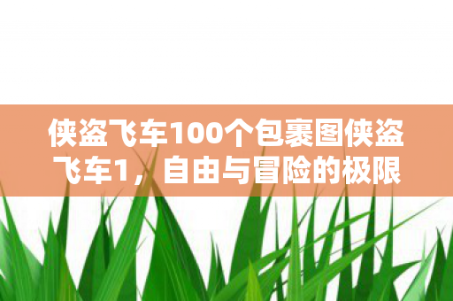 侠盗飞车100个包裹图侠盗飞车1图片