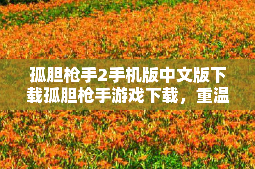 孤胆枪手2手机版中文版下载孤胆枪手游戏下载图片