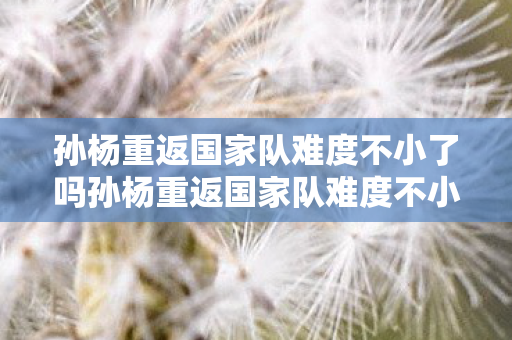 孙杨重返国家队难度不小了吗孙杨重返国家队难度不小图片