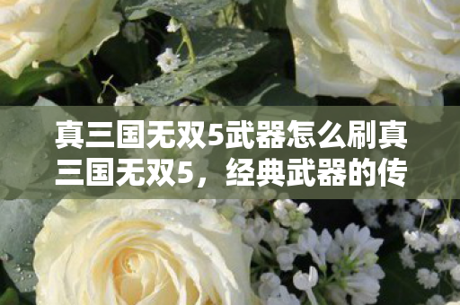 真三国无双5武器怎么刷真三国无双5图片