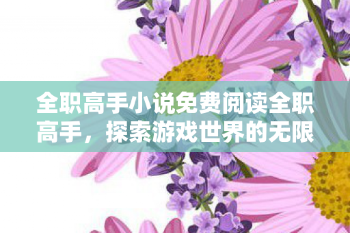 全职高手小说免费阅读全职高手图片