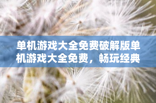 单机游戏大全免费破解版单机游戏大全免费图片