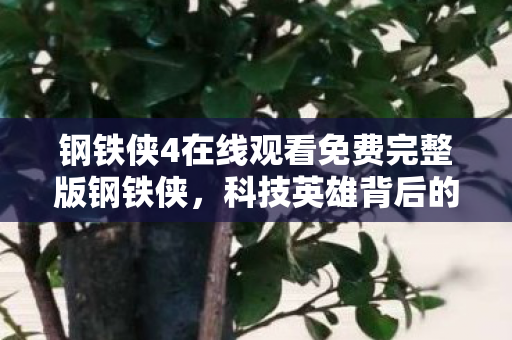 钢铁侠4在线观看免费完整版钢铁侠图片