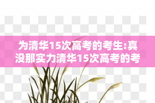 真没那实力清华15次高考的考生图片