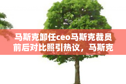 马斯克卸任ceo马斯克裁员前后对比照引热议图片