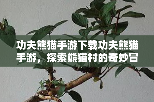 功夫熊猫手游下载开启熊猫村之旅图片