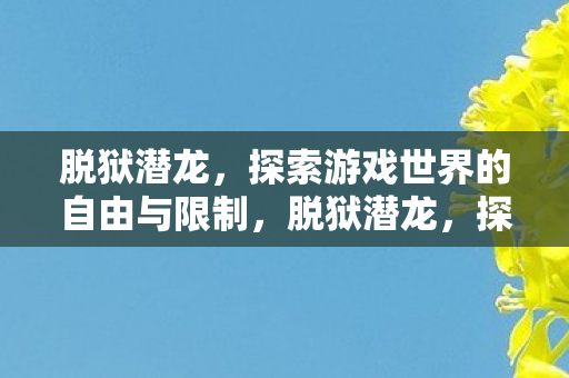 探索游戏世界的自由与限制图片