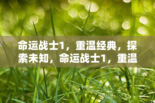 探索未知之旅图片