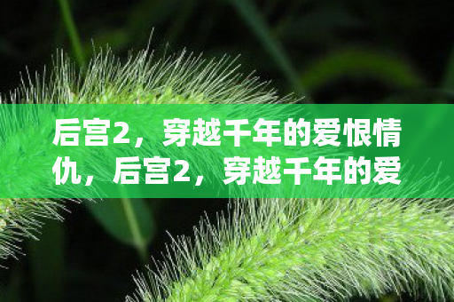 演绎宫廷权谋与情感纠葛图片