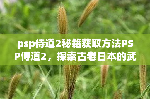 psp侍道2秘籍获取方法PSP侍道2图片