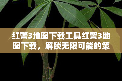红警3地图下载工具红警3地图下载图片