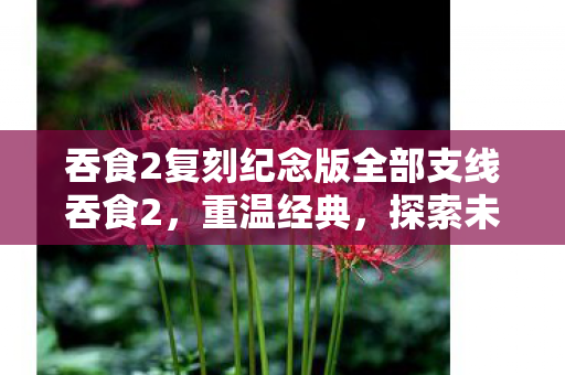 吞食2复刻纪念版全部支线吞食2图片