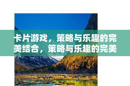 策略与乐趣的完美结合图片