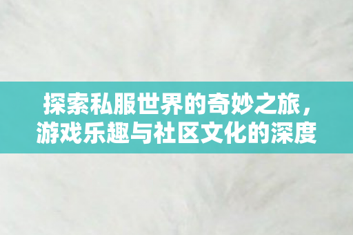 探索游戏乐趣与社区文化的奇妙之旅图片