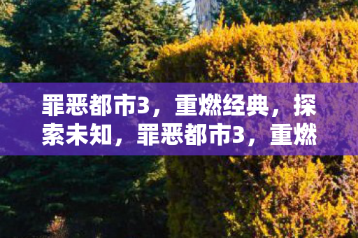 探索未知之旅图片