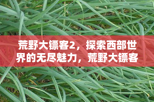探索西部世界的无尽魅力图片