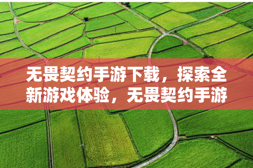 探索全新游戏体验下载图片