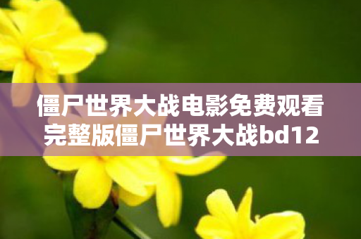 僵尸世界大战电影免费观看完整版僵尸世界大战bd1280图片