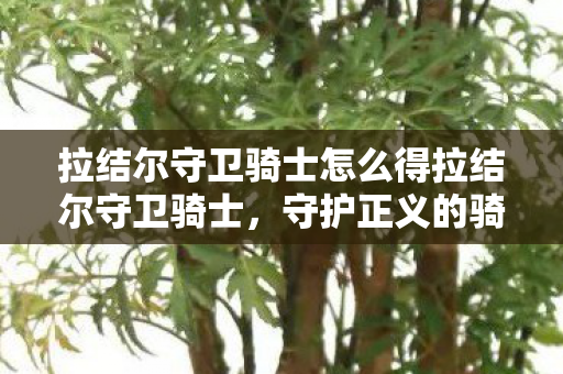拉结尔守卫骑士怎么得拉结尔守卫骑士图片
