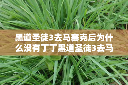 黑道圣徒3去马赛克后为什么没有丁丁黑道圣徒3去马赛克图片