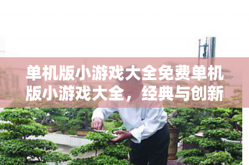 单机版小游戏大全免费单机版小游戏大全图片