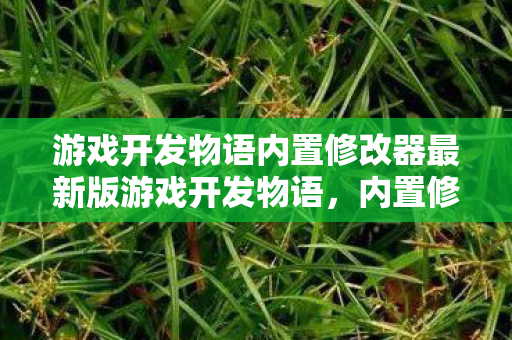 游戏开发物语内置修改器最新版游戏开发物语图片