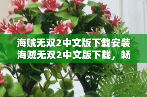 海贼无双2中文版下载安装海贼无双2中文版下载图片