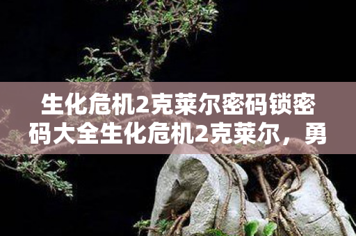 生化危机2克莱尔密码锁密码大全生化危机2克莱尔图片