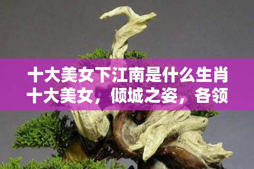十大美女下江南是什么生肖十大美女图片