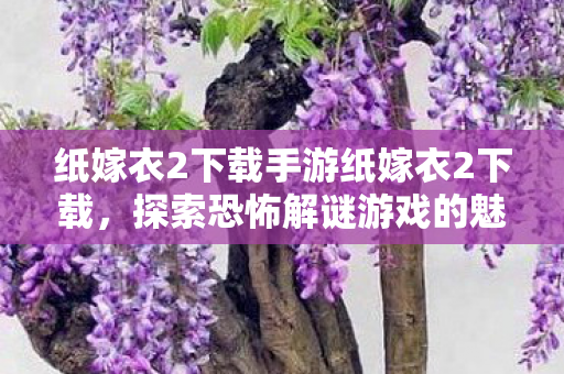 纸嫁衣2下载手游纸嫁衣2下载图片