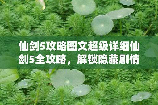 仙剑5攻略图文超级详细仙剑5全攻略图片