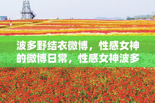 性感女神波多野结衣微博日常图片