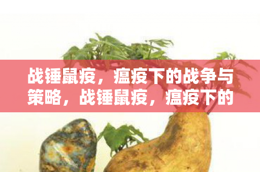 瘟疫下的战争与策略图片