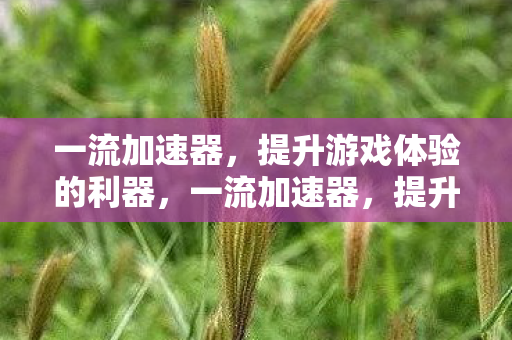 提升游戏体验的利器图片