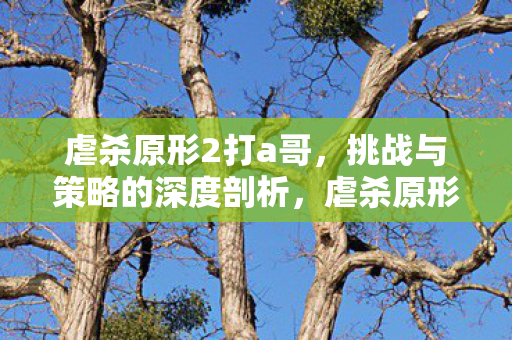 挑战与策略的深度剖析图片