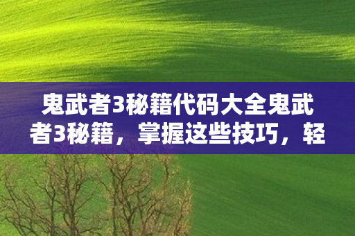 鬼武者3秘籍代码大全鬼武者3秘籍图片
