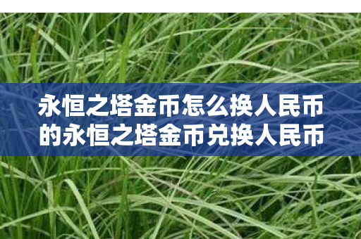 永恒之塔金币怎么换人民币的永恒之塔金币兑换人民币全攻略图片