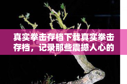 真实拳击存档下载真实拳击存档图片