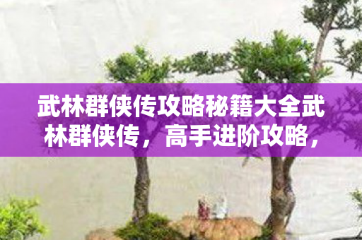 武林群侠传攻略秘籍大全武林群侠传图片