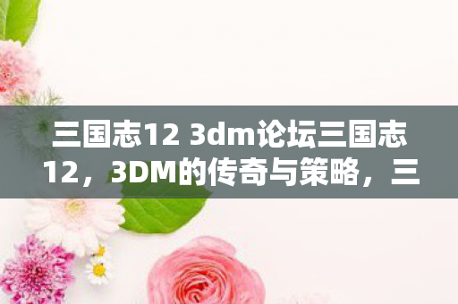 三国志12 3dm论坛三国志12图片