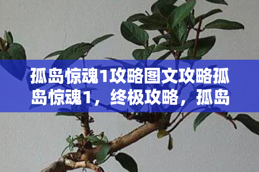 孤岛惊魂1攻略图文攻略孤岛惊魂1图片