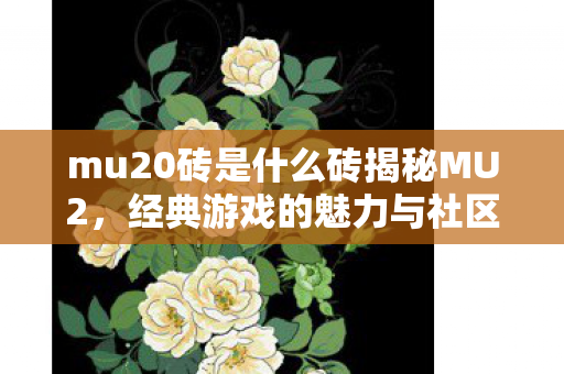 mu20砖是什么砖揭秘MU2图片