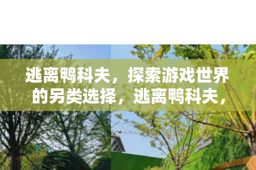 探索游戏世界的另类选择图片
