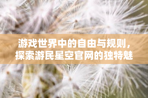 探索游民星空官网的独特魅力图片
