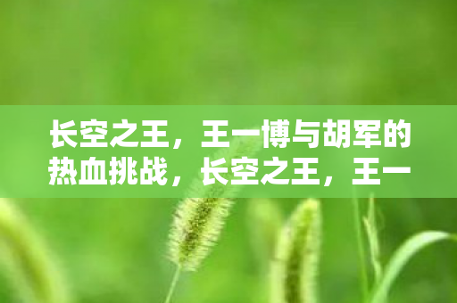 王一博与胡军的热血挑战图片